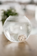 NATAVA olejová koule do koupele - Chrpa polní