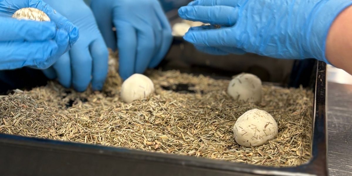 Den otevřených dveří v UNION Cosmetic: B2B partneři zažili manufakturní výrobu kosmetiky na vlastní kůži